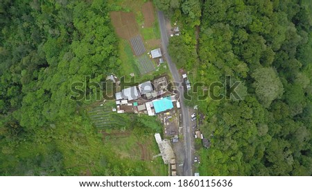 Green Bali landscape. Aerial drone top view to road and trees in the north of Bali island. Indonesia