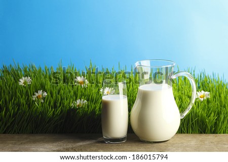 Milk jug and glass on the grass with chamomiles background