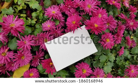 card  mockup  on  flower background