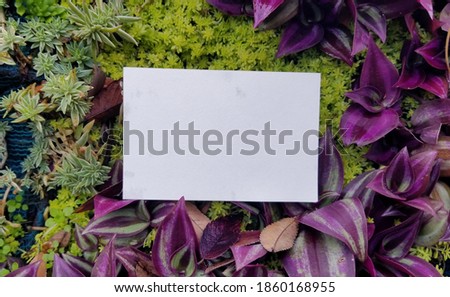 card  mockup  on  flower background