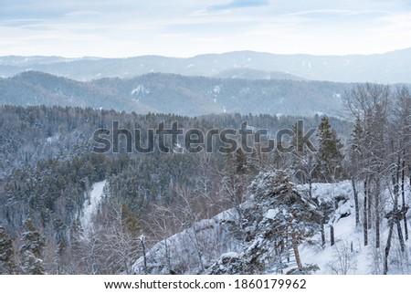 Gentle hills are covered with snow forest. View of mountain valley on winter day