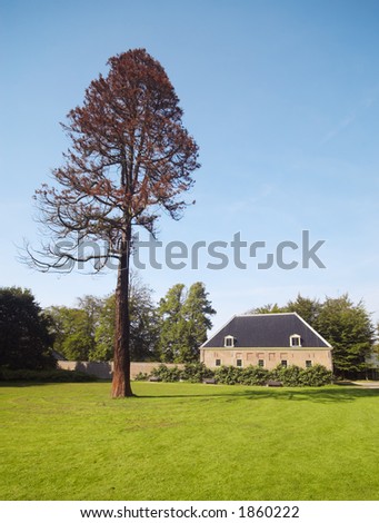 autumn tree and a country house