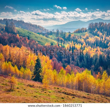 Astonishing autumn scene of the mountain meadow. Attractive morning view of mountain forest, Carpathians, Ukraine, Europe. Beauty of nature concept background.