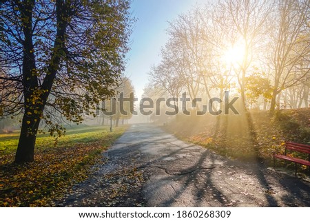 Walkway in the sun in the autumn park. Autumn mood concept. Vibrant photo wallpaper. Picturesque nature photography. Soft light effect. Location place Ukraine, Europe. Discover the beauty of earth.