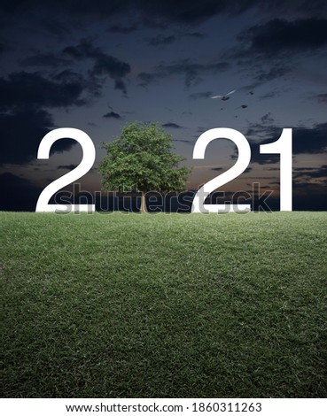 2021 white text with tree on green grass field over sunset sky, Happy new year 2021 ecological cover concept