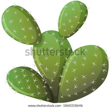 Prickly Pear Cactus isolated on white background illustration