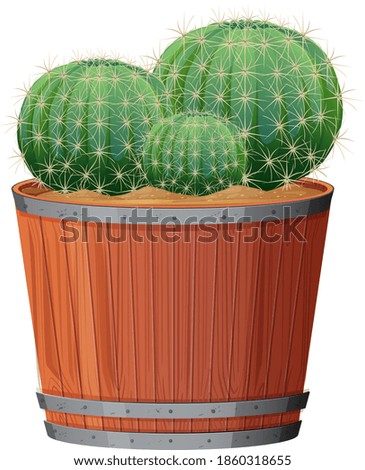 Barrel Cactus in a wooden pot on white background illustration
