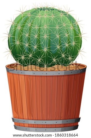 Barrel Cactus in a wooden pot on white background illustration