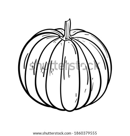 hand drawn pumpkin and ink. Scary greeting card and invitation party poster. Modern illustration concept. single element, icon, sticker, poster card. vegetable harvest autumn halloween thanksgiving