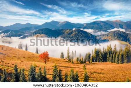 Adorable morning view from flying drone of Carpathian mountains. Foggy autumn scene of mountain valley. Picturesque outdoor scene of Ukrainian countryside. Landscape photography. 