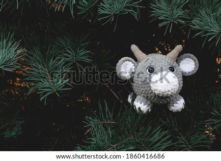 Gray knitted toy ox on a blue spruce as a Christmas tree, New Year's card. Ox as a symbol of the Chinese New Year. Royalty-Free Stock Photo #1860416686