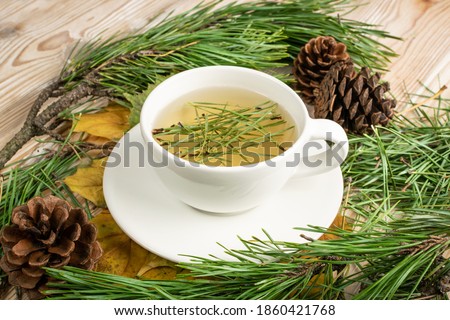 Pine needles tea in white cup. Healthy winter beverage in camping, pine tree needles tea in mug. Medicine scurvy, source of vitamin C and carotene Royalty-Free Stock Photo #1860421768