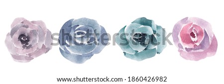 Set of watercolor vintage roses isolated on white background. For wedding design.