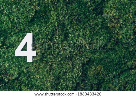 Ecology, zero waste. Green grass and digit four 4. Birthday greeting card. Anniversary concept. Top view. Copy space. White numeral over eco moss background. Numerical digit
