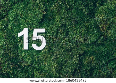 Ecology, zero waste. Green grass, digit fifteen. Birthday greeting card with inscription 15. Anniversary concept. Top view. Copy space. White numeral on eco moss background. Numerical digit.