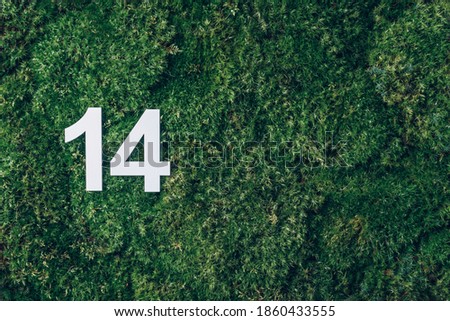 Ecology, zero waste. Green grass, digit fourteen. Birthday greeting card with inscription 14. Anniversary concept. Top view. Copy space. White numeral on eco moss background. Numerical digit.