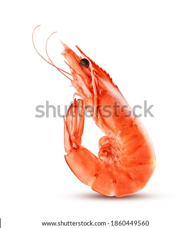 Red cooked prawn or shrimp isolated on white background                    Royalty-Free Stock Photo #1860449560