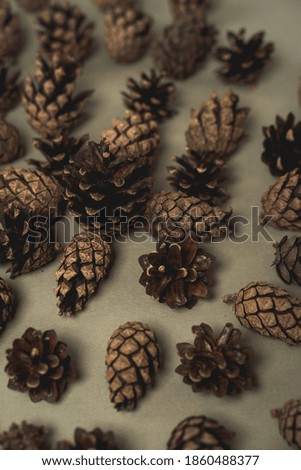 Christmas picture with fir cones on a gentle background.