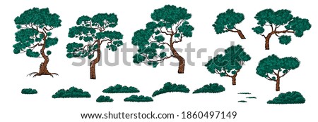 Set of pine trees and bushes in chinese style