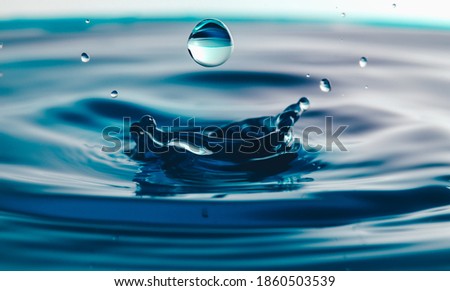 Dark blue water droplets splash close up on the water surface. It creates a water wave and a perfect crown