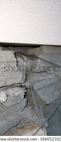 Beautiful vertical close-up shot of the snake cast-off skin on the concrete wall for growing itself up. 
