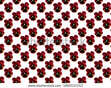 Seamless pattern with a pattern of pansies. Repeating pattern for decorative Wallpaper. Floral pattern on a white background when viewed from above. Wild pansies.