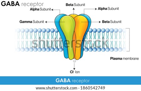 GABA receptor Ultra Structure vector design Royalty-Free Stock Photo #1860542749