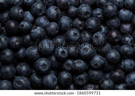 Fresh blueberry or blackberry background. Texture blueberry berries close up. wallpaper. Concept of healthy and diet food. Flat lay, top view, Ripe blueberries with copy space for text, shallow DOF