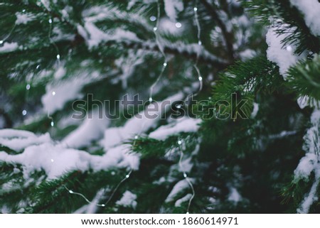 Christmas tree with gold defocused lights and silhouette of spruce branch. defocused new year background
