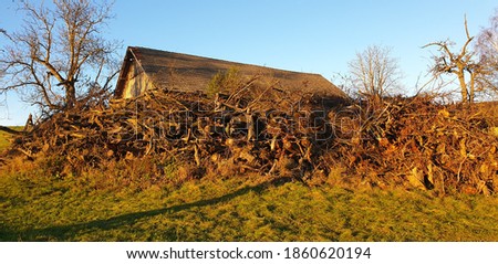 a big pile of old trees in front of an old farmhouse the picture was taken on a sunny autumn day