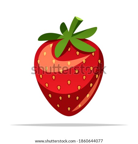 Strawberry fruit vector isolated illustration