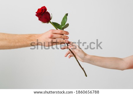 Two hands with red rose isolated over white background Royalty-Free Stock Photo #1860656788