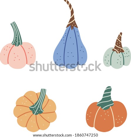Adorable pumpkin of various shapes and colors.