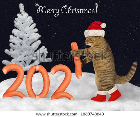 A cat in a Santa Claus hat makes 2021 from sausages in the winter forest at night. Merry Christmas.