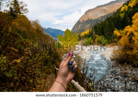 green leaf held by a girl with a manicure against the background of a blue sky, a mountain landscape and a river