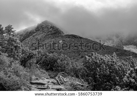 A rocky peak in winter covered with clouds. Black and white photo taken during the day. Other mountains in the background. Visible mountain pine and snow.