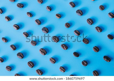 top view of coffee beans laid out in rows on a blue background