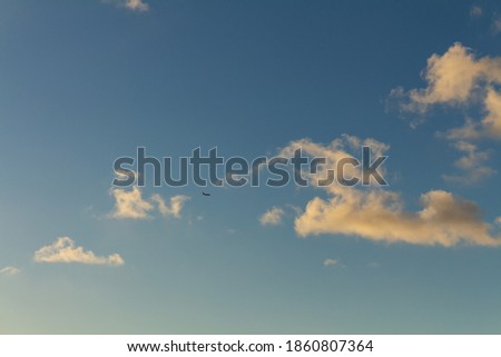 Striking fluffy clouds in the blue sky. Background for designers. Cumulus in the sky. Plane in the sky