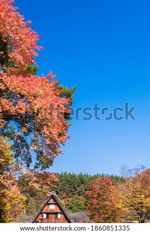 The Village of Shirakawa-gō gassho-zukuri is famous sightseeing spot in Japan. This place has been registered as a UNESCO World Heritage Site.
Autumn tourism where the trees in the mountains turn red.