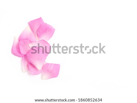 Damask rose ,flowers petal placed isolated on white background.