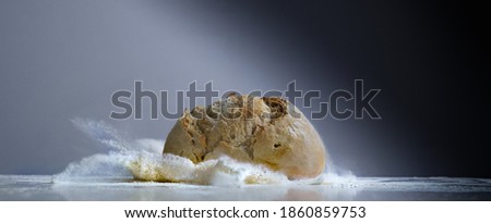 Craft bread splash over flour upon table