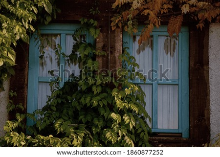 retro background of a blue autumn afternoon window.