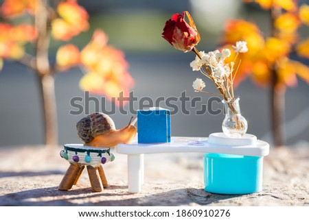 Snail sitting on a stool reading a book at a table with flowers
