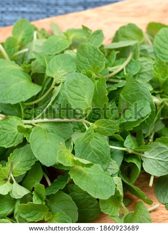 Herbs, spearmint leaves. It features a fresh scent.