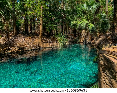 Hot spring in Tropical Northern Territory Rain forrest Royalty-Free Stock Photo #1860959638