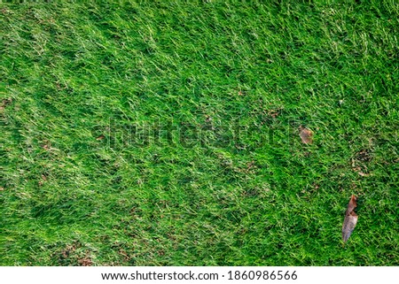 Bright green grass soccer field background.