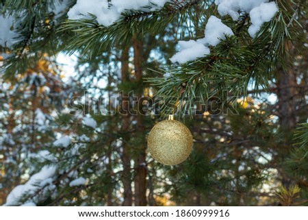 beautiful winter landscape, with snow, Christmas trees, bright, Christmas toys on Christmas and New year's day