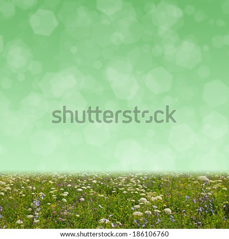 Wildflower meadow and abstract bokeh lights background