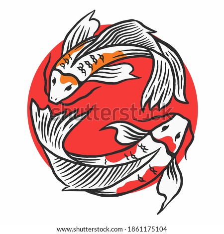 Japanese koi fish vector illustration. Drawing koi fish vector.