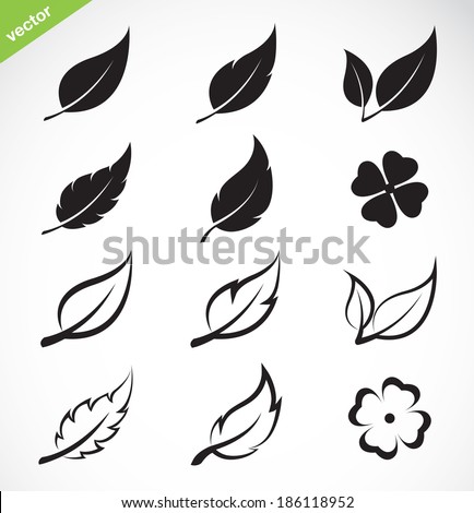 Vector leaves icon set on white background. leaves logo. Easy editable layered vector illustration.